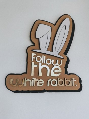 follow the rabbit