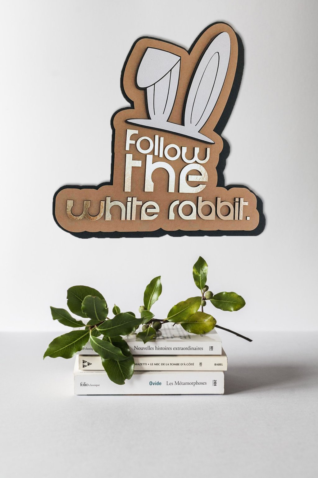 follow the rabbit