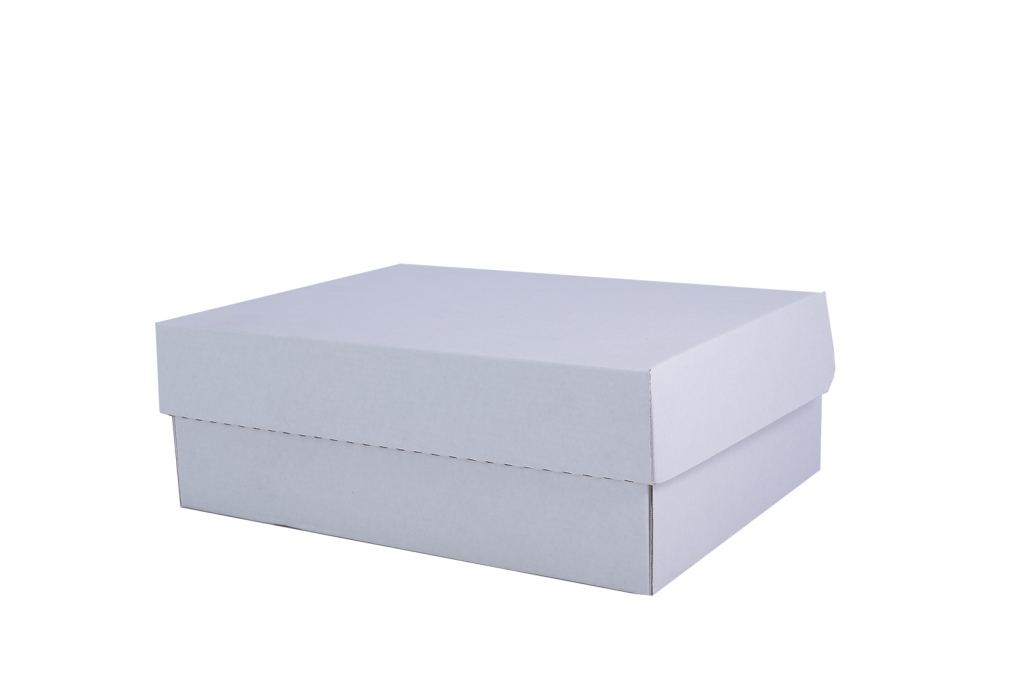 29 x 22 x 11 cm beyaz kapaklı kutu